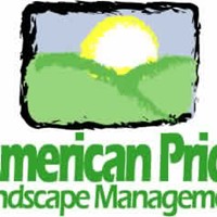 Портфолио Richard Chhan